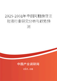 2025-2031年中國阿糖胞苷注射液行業(yè)研究分析與趨勢預測