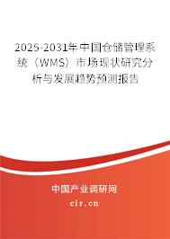 2025-2031年中國(guó)倉(cāng)儲(chǔ)管理系統(tǒng)（WMS）市場(chǎng)現(xiàn)狀研究分析與發(fā)展趨勢(shì)預(yù)測(cè)報(bào)告