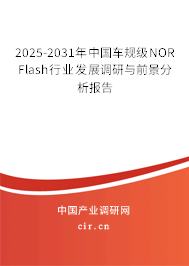2025-2031年中國車規(guī)級NOR Flash行業(yè)發(fā)展調研與前景分析報告 2025-2031年中國車規(guī)級NOR Flash行業(yè)發(fā)展調研與前景分析報告