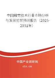 中國觸覺技術(shù)行業(yè)市場分析與發(fā)展前景預(yù)測報告（2025-2031年）