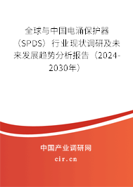 全球與中國(guó)電涌保護(hù)器（SPDS）行業(yè)現(xiàn)狀調(diào)研及未來發(fā)展趨勢(shì)分析報(bào)告（2024-2030年）