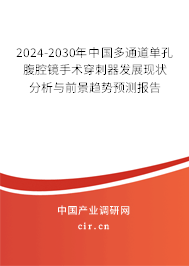 2024-2030年中國多通道單孔腹腔鏡手術(shù)穿刺器發(fā)展現(xiàn)狀分析與前景趨勢預(yù)測報告