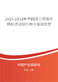 2025-2031年中國(guó)法蘭墊圈市場(chǎng)現(xiàn)狀調(diào)研分析與發(fā)展前景