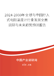 2024-2030年全球與中國擰入式電阻溫度計行業(yè)發(fā)展全面調(diào)研與未來趨勢預測報告