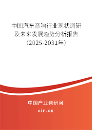 中國汽車音響行業(yè)現狀調研及未來發(fā)展趨勢分析報告（2025-2031年）