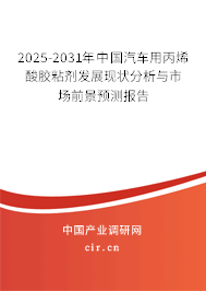 2024-2030年中國(guó)汽車(chē)用丙烯酸膠粘劑發(fā)展現(xiàn)狀分析與市場(chǎng)前景預(yù)測(cè)報(bào)告