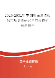 2025-2031年中國墻面清潔服務市場調查研究與前景趨勢預測報告