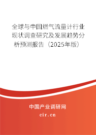 全球與中國燃?xì)饬髁坑?jì)行業(yè)現(xiàn)狀調(diào)查研究及發(fā)展趨勢(shì)分析預(yù)測(cè)報(bào)告（2025年版）