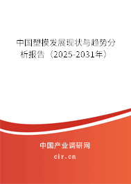 中國塑模發(fā)展現狀與趨勢分析報告（2025-2031年）