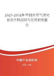 2025-2031年中國天然氣液化裝置市場調(diào)研與前景趨勢報告