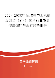 2024-2030年全球與中國(guó)系統(tǒng)級(jí)封裝（SiP）芯片行業(yè)發(fā)展深度調(diào)研與未來(lái)趨勢(shì)報(bào)告