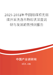 2025-2031年中國(guó)煙煤和無煙煤開采洗選市場(chǎng)現(xiàn)狀深度調(diào)研與發(fā)展趨勢(shì)預(yù)測(cè)報(bào)告