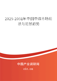 2025-2031年中國中煤市場現(xiàn)狀與前景趨勢