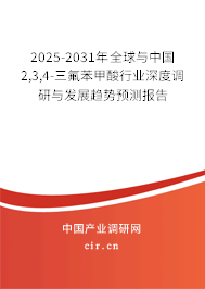 2025-2031年全球與中國2,3,4-三氟苯甲酸行業(yè)深度調(diào)研與發(fā)展趨勢預(yù)測報(bào)告