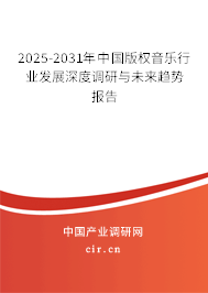 2025-2031年中國版權(quán)音樂行業(yè)發(fā)展深度調(diào)研與未來趨勢報(bào)告