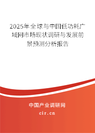 2025年全球與中國低功耗廣域網(wǎng)市場現(xiàn)狀調(diào)研與發(fā)展前景預測分析報告