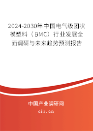 2024-2030年中國電氣級團狀模塑料（BMC）行業(yè)發(fā)展全面調(diào)研與未來趨勢預(yù)測報告