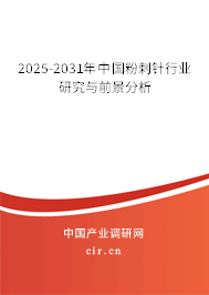 2025-2031年中國(guó)粉刺針行業(yè)研究與前景分析