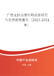 廣西光伏運維市場調(diào)查研究與前景趨勢報告（2025-2031年）