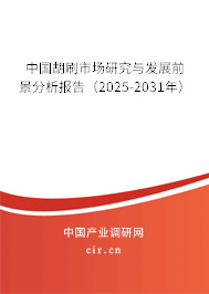 中國胡刷市場研究與發(fā)展前景分析報告（2025-2031年）