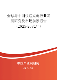 全球與中國快速充電行業(yè)發(fā)展研究及市場前景報告（2025-2031年）