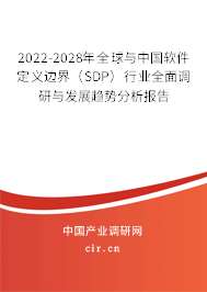 2022-2028年全球與中國軟件定義邊界（SDP）行業(yè)全面調研與發(fā)展趨勢分析報告