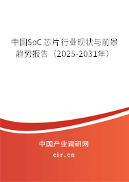 中國SoC芯片行業(yè)現(xiàn)狀與前景趨勢報(bào)告（2025-2031年）