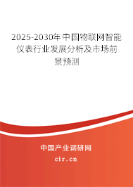 2025-2030年中國物聯(lián)網(wǎng)智能儀表行業(yè)發(fā)展分析及市場前景預(yù)測