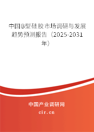 中國B型硅膠市場調(diào)研與發(fā)展趨勢預(yù)測報告（2025-2031年）