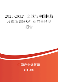 2025-2031年全球與中國(guó)樟腦片市場(chǎng)調(diào)研及行業(yè)前景預(yù)測(cè)報(bào)告