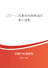 二〇一二版數(shù)碼相框項目商業(yè)計劃書