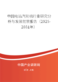 中國電站汽輪機(jī)行業(yè)研究分析與發(fā)展前景報(bào)告（2025-2031年）