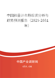 中國肺量計(jì)市場現(xiàn)狀分析與趨勢預(yù)測報(bào)告（2025-2031年）