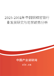 2025-2031年中國鋼精密管行業(yè)發(fā)展研究與前景趨勢分析
