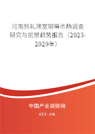 河南熱軋薄寬鋼帶市場調(diào)查研究與前景趨勢報告（2023-2029年）