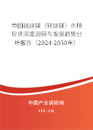 中國(guó)堿燒鎂（輕燒鎂）市場(chǎng)現(xiàn)狀深度調(diào)研與發(fā)展趨勢(shì)分析報(bào)告（2024-2030年）