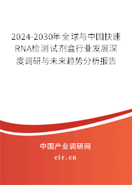 2024-2030年全球與中國快速RNA檢測試劑盒行業(yè)發(fā)展深度調(diào)研與未來趨勢分析報(bào)告