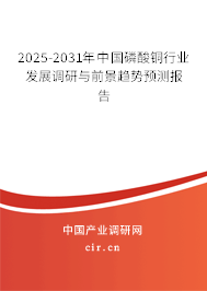 2025-2031年中國磷酸銅行業(yè)發(fā)展調研與前景趨勢預測報告