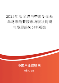 2025年版全球與中國N-苯基單馬來酰亞胺市場現(xiàn)狀調(diào)研與發(fā)展趨勢分析報(bào)告
