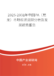 2025-2031年中國PA（尼龍）市場現(xiàn)狀調(diào)研分析及發(fā)展趨勢報(bào)告