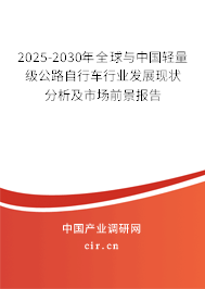 2025-2030年全球與中國輕量級公路自行車行業(yè)發(fā)展現(xiàn)狀分析及市場前景報告