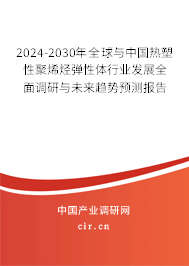 2024-2030年全球與中國熱塑性聚烯烴彈性體行業(yè)發(fā)展全面調(diào)研與未來趨勢預測報告