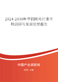 2024-2030年中國刷毛行業(yè)市場調(diào)研與發(fā)展前景報告