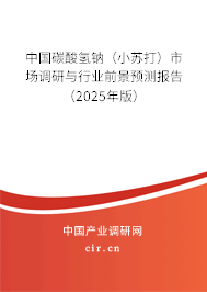 中國碳酸氫鈉（小蘇打）市場調研與行業(yè)前景預測報告（2025年版）