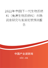 2022年中國下一代生物質(zhì)燃料(先進生物質(zhì)燃料)市場調(diào)查研究與發(fā)展前景預(yù)測報告 2022年中國下一代生物質(zhì)燃料(先進生物質(zhì)燃料)市場調(diào)查研究與發(fā)展前景預(yù)測報告
