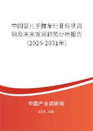 中國嬰兒手推車行業(yè)現狀調研及未來發(fā)展趨勢分析報告（2025-2031年）