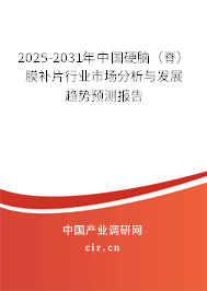2025-2031年中國硬腦（脊）膜補片行業(yè)市場分析與發(fā)展趨勢預測報告