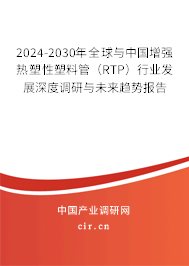 2024-2030年全球與中國增強(qiáng)熱塑性塑料管（RTP）行業(yè)發(fā)展深度調(diào)研與未來趨勢報告