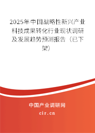 2025年中國戰(zhàn)略性新興產(chǎn)業(yè)科技成果轉(zhuǎn)化行業(yè)現(xiàn)狀調(diào)研及發(fā)展趨勢預(yù)測報告（已下架）