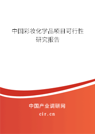 中國彩妝化學(xué)品項目可行性研究報告